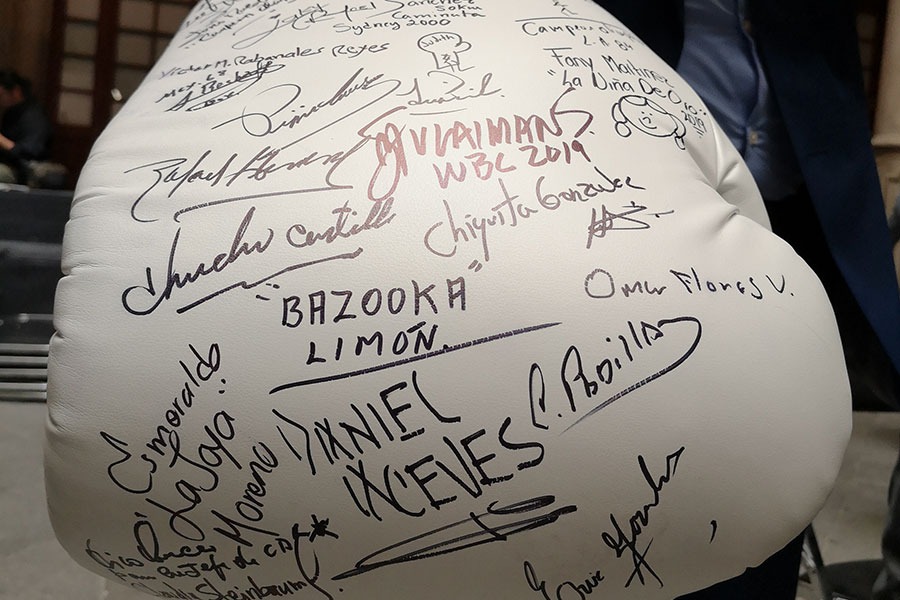 EL GUANTE DE NUESTROS EMBAJADORES