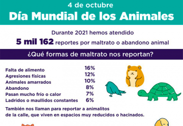 We received over one thousand reports for animal mistreatment 