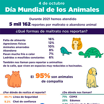 NOS HAN REPORTADO MÁS DE MIL DENUNCIAS POR MALTRATO ANIMAL